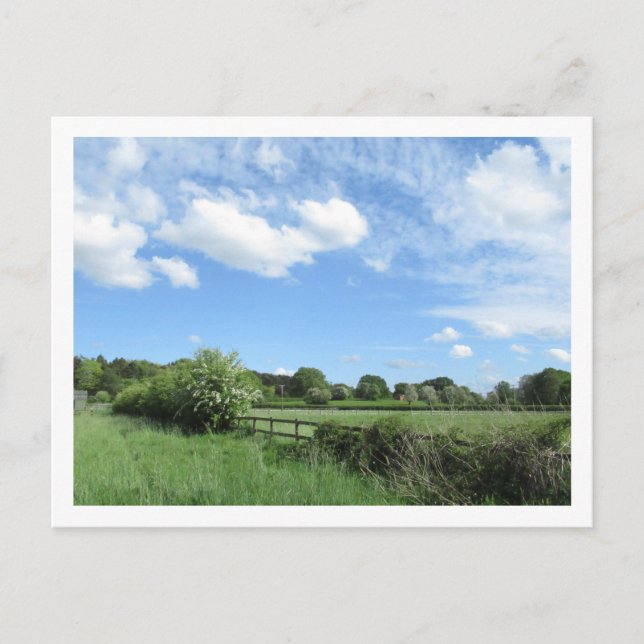 Landsbygd i maj vykort (Framsida)