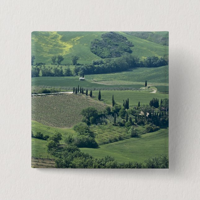 Landsbygd nära Montepulciano, Val d'Orcia, Knapp (Framsida)