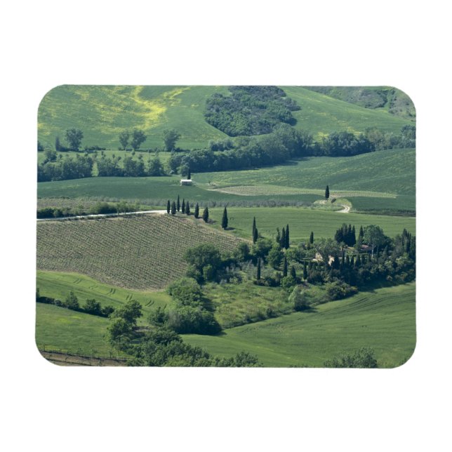 Landsbygd nära Montepulciano, Val d'Orcia, Magnet (Horisontell)
