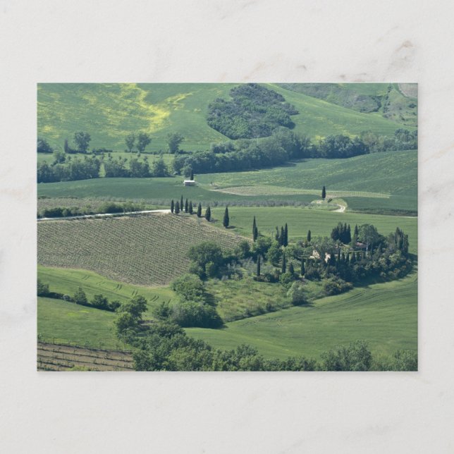 Landsbygd nära Montepulciano, Val d'Orcia, Vykort (Framsida)