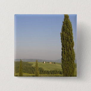 Landsbygd nära Pienza. Val d'Orcia, Siena Knapp