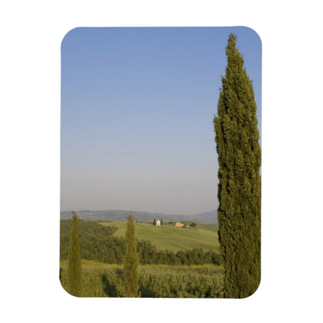 Landsbygd nära Pienza. Val d'Orcia, Siena Magnet (Vertikal)