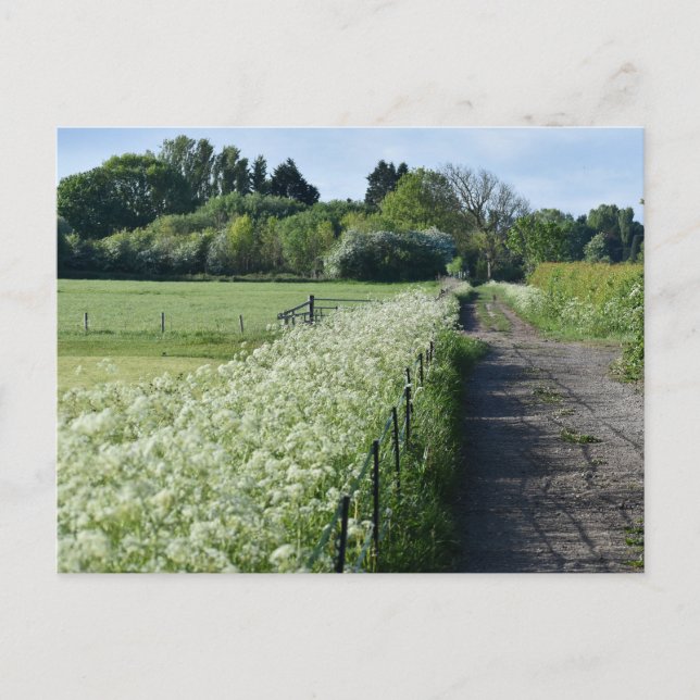 Landsbygd Vykort (Framsida)