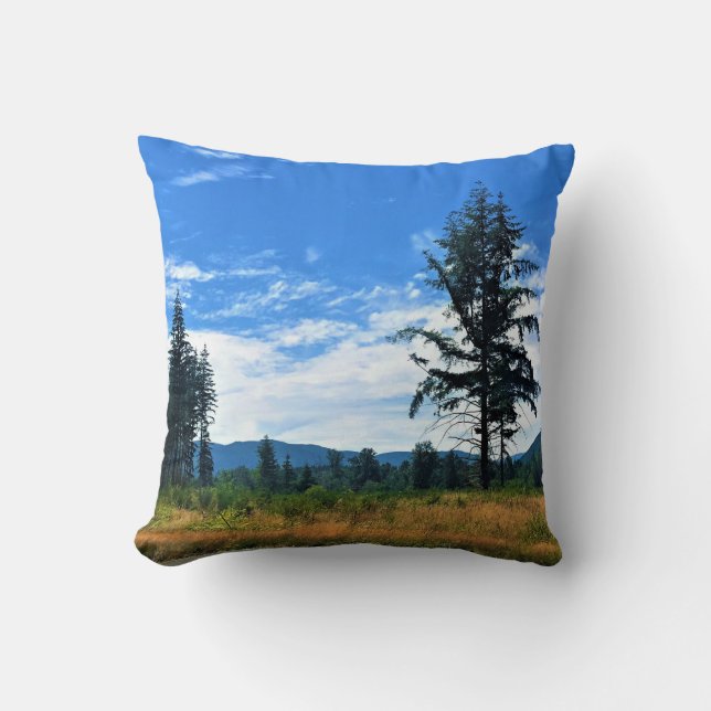 Landsbygd Washington, Randle, WA Kudde (Framsida)