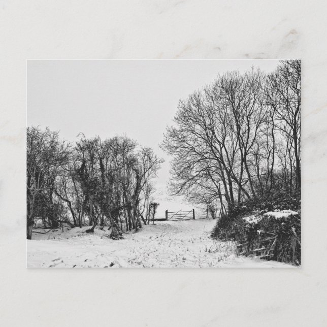 Landsbygden i Snö Vykort (Framsida)