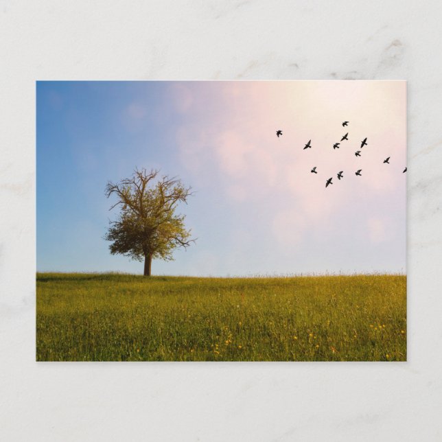 Landsbygdens idyll vykort (Framsida)