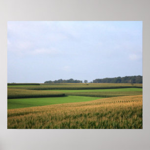 Landsbygdens mellersta gård Fält Landskap Färg 16 Poster