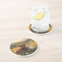 Landsbygdsassistenter