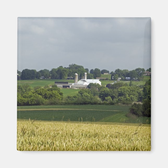 Landsbygdsgård Magnet (Framsidan)