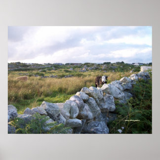 LandsbygdsIrland Poster