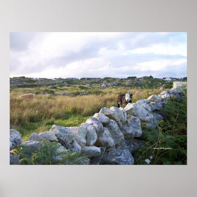 LandsbygdsIrland Poster (Framsidan)