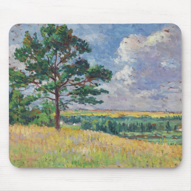 Landsbygdslandskapet kring Méréville, Frankrike (A Musmatta (Framsidan)