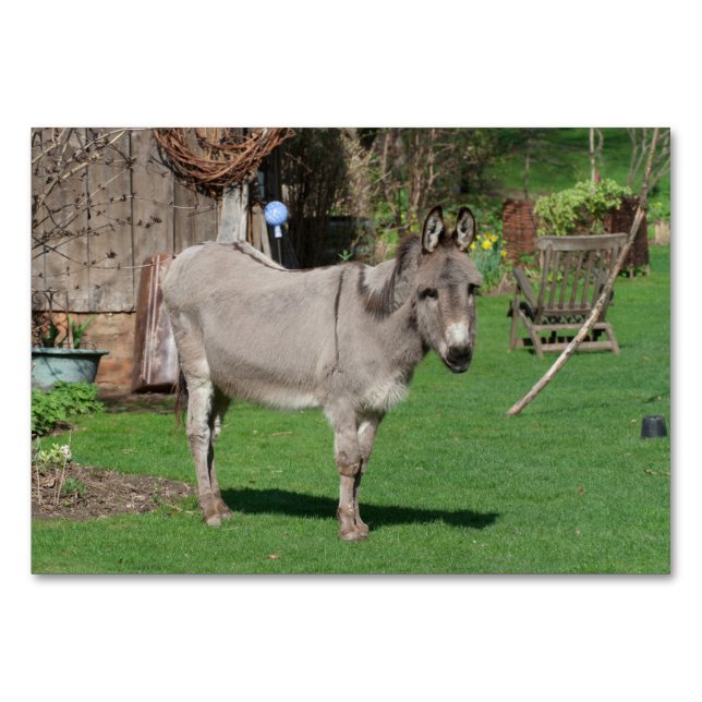 Landsbygdsliv med Donkey Bordsnummer (Framsidan)