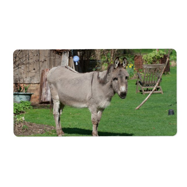 Landsbygdsliv med Donkey Fraktsedel (Framsidan)