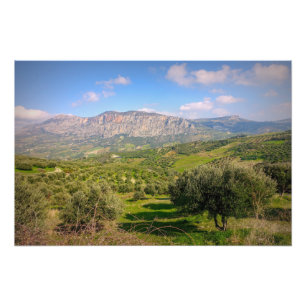 Landsbygdsområden på Kreta, Grekland Fototryck