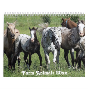 Landsbygdsområdet i Boskap Kalender