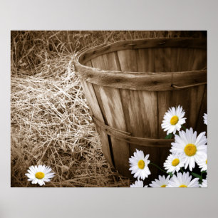 Landsbygdsprästkragar Poster