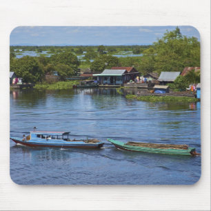Landsbygdsscen, Tonle Sap-sjön, Siem Reap, Angkor, Musmatta