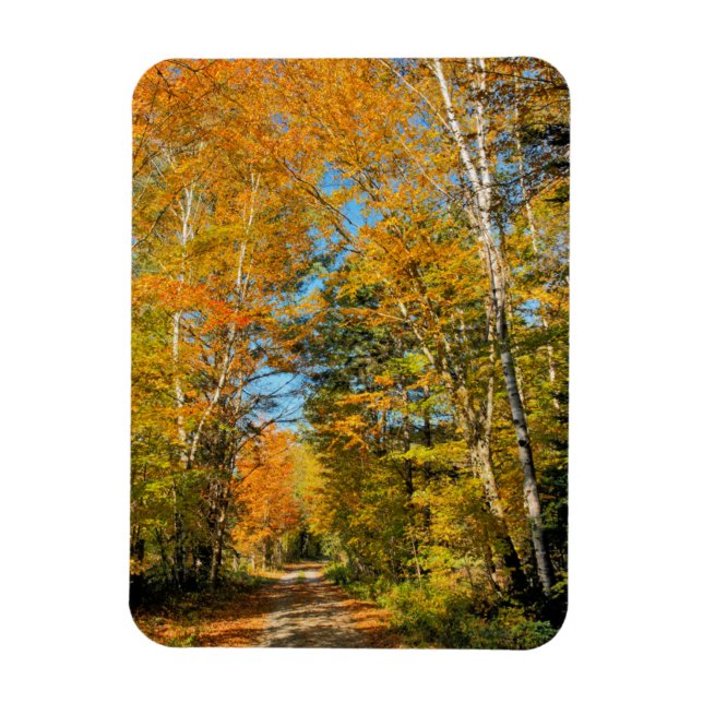 Landsbygdsväg Autumn Färg New Hampshire Magnet (Vertikal)