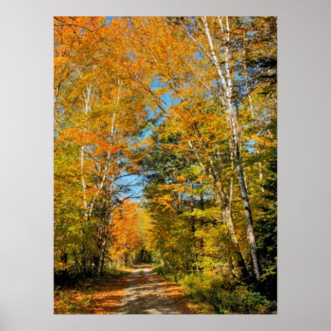 Landsbygdsväg Autumn Färg New Hampshire Poster (Framsidan)