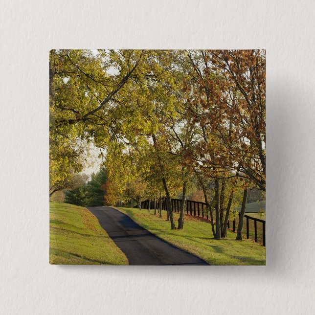 Landsbygdsväg genom Blågräsregionen Kentucky 2 Knapp (Framsida)