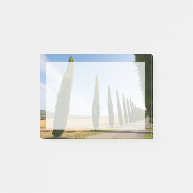 Landsbygdsväg kantad av träd, Toscana Post-it Block (Framsida)