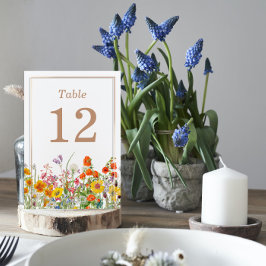 Landsbyggsbröllopet Färglöst Vild Flowers Bordsnummer