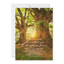 Landsbyggsbröllopet Rustic Forest Summer Träd Gree
