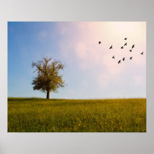 Landsbyidyll med fåglar poster