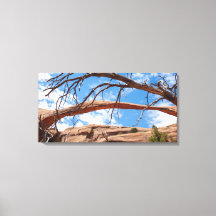 Landscape Arch, Arches nationalpark, Utah
