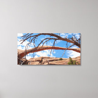Landscape Arch, Arches nationalpark, Utah Canvastryck