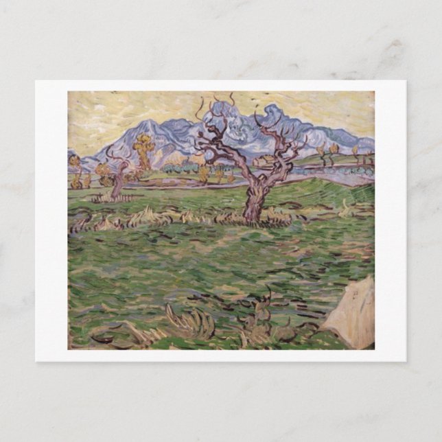 Landscape Olive Träd Mountain, Van Gogh Fine Art Vykort (Framsida)