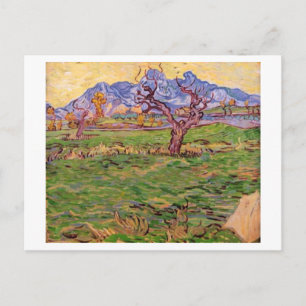 Landscape Olive Träd Mountain, Van Gogh Fine Art Vykort