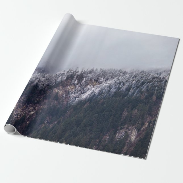 LANDSCAPE PHOTOGRAFI OF MOUNTAIN PRESENTPAPPER (Utrullad)