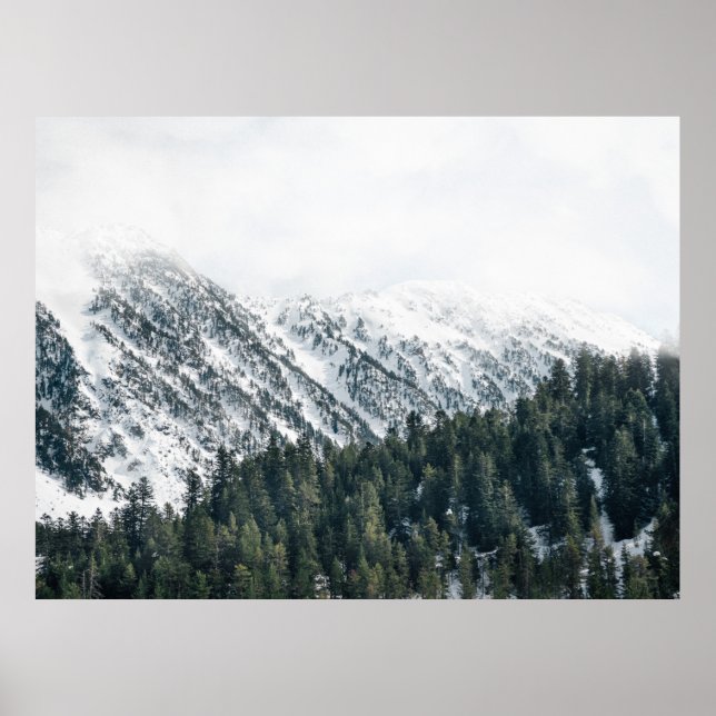 LANDSCAPE PHOTOGRAFI OF TRÄD POSTER (Framsidan)