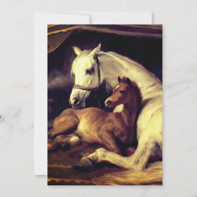 Landseer Horses Inbjudningar (Framsida)
