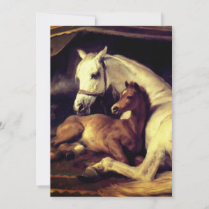 Landseer Horses Inbjudningar
