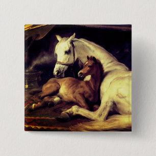Landseer Horses Knapp