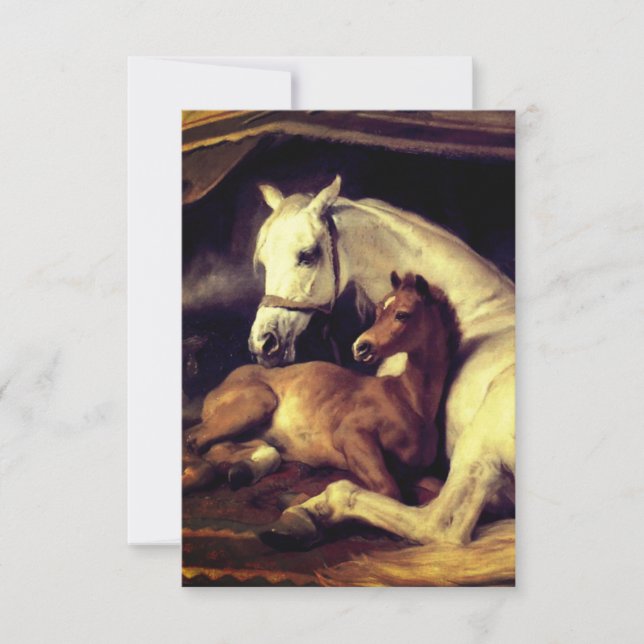 Landseer Horses OSA Kort (Framsida)