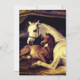 Landseer Horses Spara Datumet