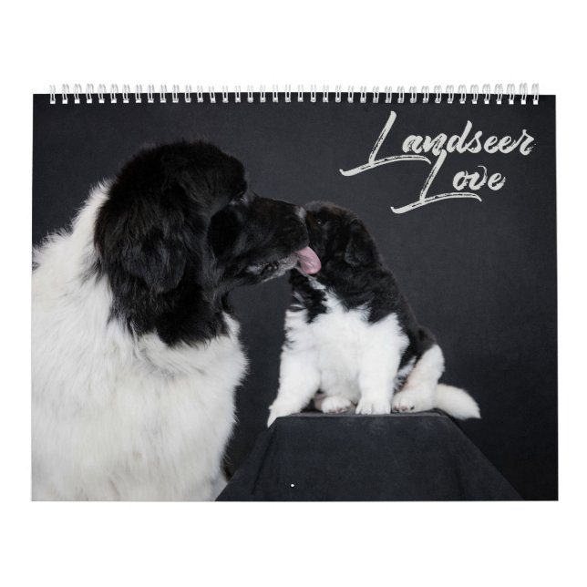 Landseer Kärlek Kalender (Omslag)