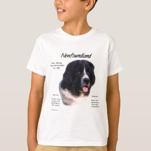 Landseer Newfoundland History, I kärlek Newfiles Tröja