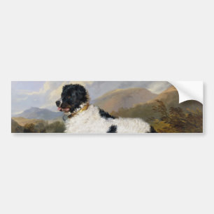 Landseer Newfoundland Hund (Black and White Animal Bildekal