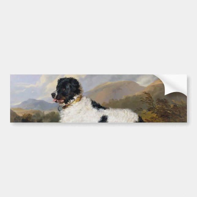 Landseer Newfoundland Hund (Black and White Animal Bildekal (Framsidan)