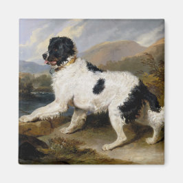 Landseer Newfoundland Hund (Black and White Animal Magnet