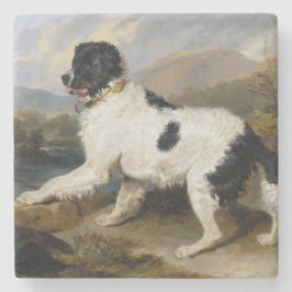 Landseer Newfoundland Hund (Black and White Animal Stenunderlägg