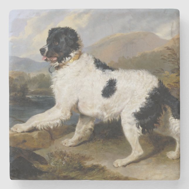 Landseer Newfoundland Hund (Black and White Animal Stenunderlägg (Framsidan)