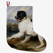 Landseer Newfoundland Hund (Black and White Animal