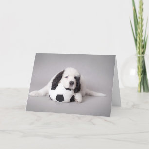 Landseer puppy kort