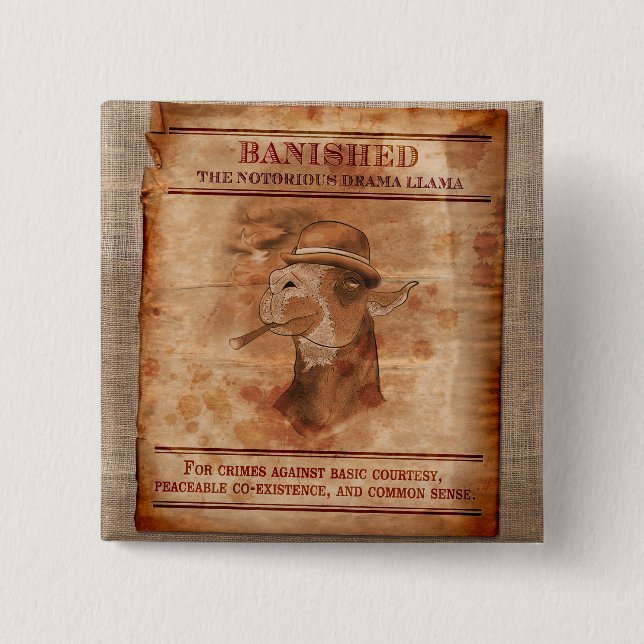 Landsförvisa dramaLlamas - 2" kvadrerar knäppas Knapp (Framsida)
